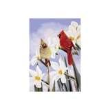 pictures of Bird Feeders Ebay Canada pictures of Bird Feeders Ebay Canada