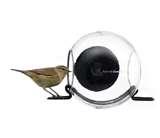 Bird Feeder Faq pictures Bird Feeder Faq pictures
