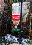 photos of Bird Feeder Waste