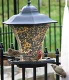 photos of Best Bird Feeder Ever photos of Best Bird Feeder Ever