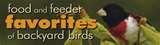 pictures of Best Bird Feeder Ever pictures of Best Bird Feeder Ever