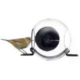 pictures of Window Bird Feeder Uk