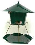 images of Best Bird Feeder Ever images of Best Bird Feeder Ever