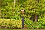 Bird Feeders Darien Ct photos Bird Feeders Darien Ct photos