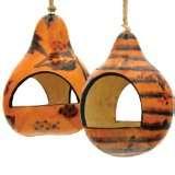 Do Caged Bird Feeders Work Do Caged Bird Feeders Work