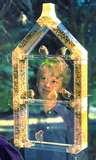 Window Bird Feeder Uk photos Window Bird Feeder Uk photos