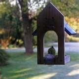 pictures of Window Bird Feeder Uk