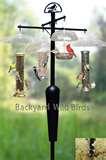 Bird Feeder Faq