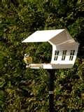 images of Bird Feeder Faq images of Bird Feeder Faq