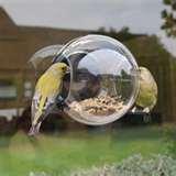 Window Bird Feeder Uk