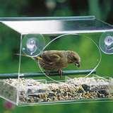 Window Bird Feeder Uk pictures Window Bird Feeder Uk pictures