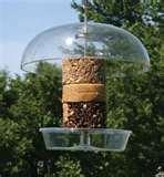 pictures of Bird Feeder Scoop Funnel