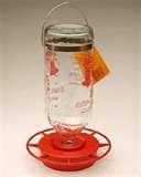 images of Best Bird Feeder Ever images of Best Bird Feeder Ever