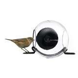Bird Feeder Faq photos Bird Feeder Faq photos