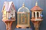 photos of Bird Feeder Images Free photos of Bird Feeder Images Free