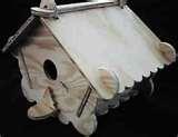 Bird Feeder Glue pictures Bird Feeder Glue pictures