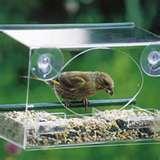 Window Bird Feeder Uk