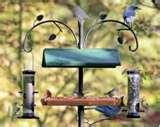 Bird Feeders Darien Ct photos Bird Feeders Darien Ct photos