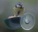 Window Bird Feeder Uk