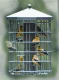 Bird Feeder Squirrel Proof Reviews Bird Feeder Squirrel Proof Reviews