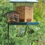 Bird Feeder Catch Tray