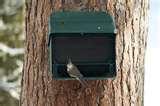 images of Bird Feeder Squirrel Proof Reviews