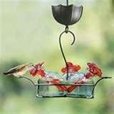 Humming Bird Feeders Cleaning pictures