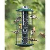 Bird Feeder Good Bird Feeder Good