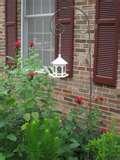 Bird Feeder Advantages images