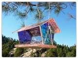 Bird Feeder Advantages Bird Feeder Advantages