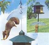 pictures of Bird Feeder Hyde