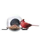 images of Bird Feeder Basics