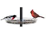 photos of Bird Feeder Catch Tray