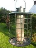 Bird Feeder Good images Bird Feeder Good images