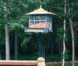 images of Bird Feeder Basics