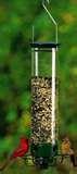 Bird Feeder Squirrel Proof Reviews