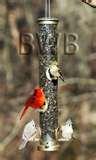 Bird Feeders Backyard pictures