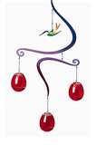 Bird Feeder Mobile images Bird Feeder Mobile images