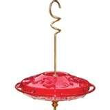 images of Humming Bird Feeders Cleaning images of Humming Bird Feeders Cleaning