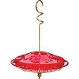 images of Humming Bird Feeders Cleaning