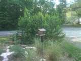 Bird Feeder Good pictures Bird Feeder Good pictures