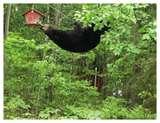 Bird Feeder Good Bird Feeder Good