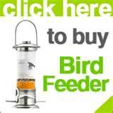 Bird Feeder Basics images