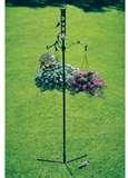Bird Feeder Basics Bird Feeder Basics