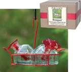 Humming Bird Feeders Cleaning pictures