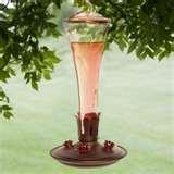 images of Humming Bird Feeders Cleaning