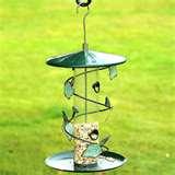 photos of Bird Feeders No Birds photos of Bird Feeders No Birds