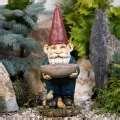 Bird Feeder Gnome pictures