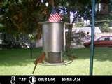 Bird Feeder Anti Squirrel photos Bird Feeder Anti Squirrel photos