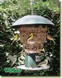 Bird Feeder Anti Squirrel images Bird Feeder Anti Squirrel images